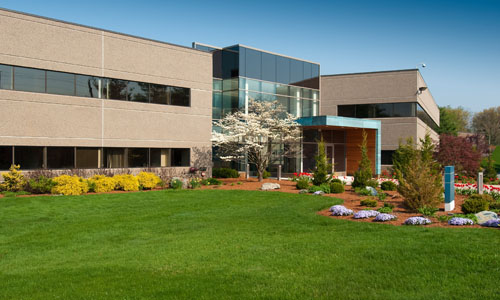 Commercial landscaping