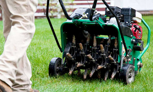 Property Maintenance